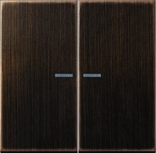 Jung - LS RANGE Intelligent bedieningselement Home Ls 2V Mess Antk