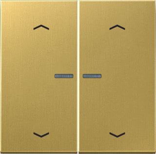 Jung - LS RANGE Intelligent bedieningselement home ls 2v mess klas pl