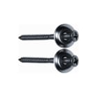 FISI - Schroefbevestigingsset Bevschrf Rvs 70Mm+Rng Se2