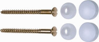 FISI - Schroefbevestigingsset Bevschrf Mes 100Mm Wt Se2