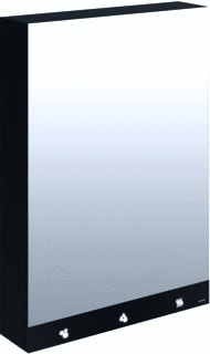 Delabie - Wastafel spiegelkast spiegelkast 600 +kr +disp