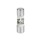 DF Electric - Cilindrische zekering 20.63.00.170 ds10