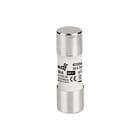 DF Electric - Cilindrische zekering 20.63.00.290 ds10
