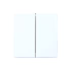 ABB Busch-Jaeger - Axcent Bed.element / centr.pl. schakelmat. 6736/10-84 Ds10