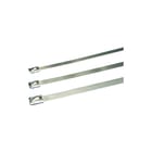 Panduit - Kabelbundelband ty 304 ss            zk500