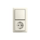 ABB Busch-Jaeger - Combinatie schakelaar/wcd  2tka00006256