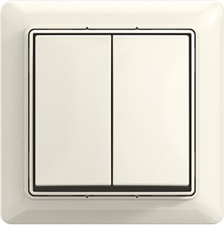 ABB Busch-Jaeger - Installatieschakelaar 2Tka00006246