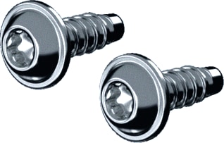 Rittal - AX Zelfdraadsnijdende schroef Schroeven 5X14Mm Ds50