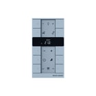ABB Busch-Jaeger - F@home Ruimtetemperatuurreg. bussysteem reg sbr-f-10.0.11-83