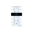 ABB Busch-Jaeger - F@home Ruimtetemperatuurreg. bussysteem reg sbr-f-10.0.11-884