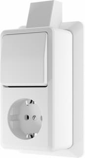 Jung - Combinatie schakelaar/wcd wcd 1v ra+schak 1p/w+mpaw