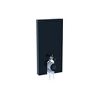 Geberit - Monolith Plus Opbouwspoelreservoir plus wc 101 zwch