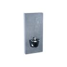 Geberit - Monolith Plus Opbouwspoelreservoir plus wc 101 beton