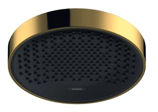 Hansgrohe - Rainfinity 250 Douchekop Rf 1J Hfddche Plaf Pg
