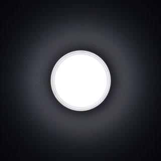 Performance in lighting - DROP Plafond-/wandarmatuur  3109457
