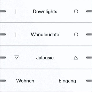 Gira - Toets bussysteem TS4 WIPSET 4-V ZWIT GEL