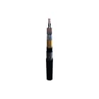 TKF - Data- en communicatiekabel RE-2XSTYS 12 X2 X0,75 MT