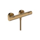 Hansgrohe - Ecostat Fine Douchemengkraan (opbouw) Dthrm Bbr
