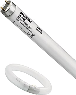 Sylvania - Blacklight T12 UV-lamp F20W/T12/Blackl