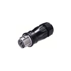 Wieland - Conn. v insteekbare gebouwinstall. connector 96.031.4554.3