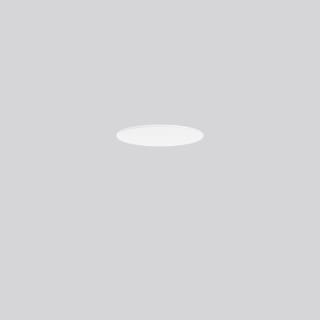 RZB - Lichtt. toebeh.v verlichtingsarm.  983391.002
