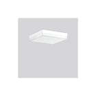 RZB - SCABRA Q Plafond-/wandarmatuur 312833.002.19