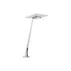 Trilux - Bicult T Tafellamp  6000846259