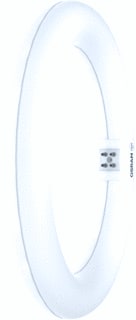 Ledvance - LED-lamp Sbtube T9 11W 830 G10Q