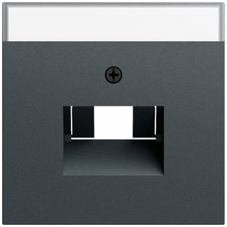 Gira - Inzetplaat schakelmateriaal 028473