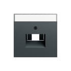 Gira - Inzetplaat schakelmateriaal 028473