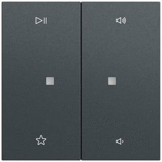 Gira - Intelligent bedieningselement 538473