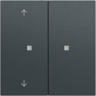 Gira - Toets bussysteem 510873