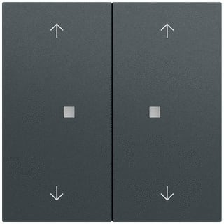 Gira - Toets bussysteem 517473