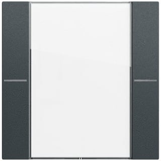 Gira - Toets bussysteem 577173