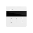Gira - Overige elektrisch elemntn schakelmateriaal 232072