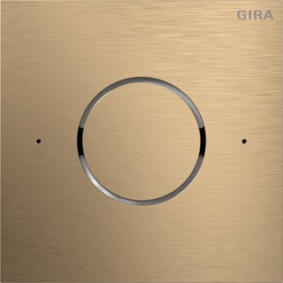 Gira - Functiemodule voor deurstation 5544921