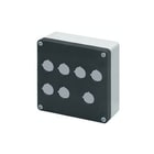 New Elfin - Drukknopkast leeg drkknpklg 040c1414-6p7c