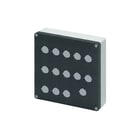New Elfin - Drukknopkast leeg drkknpklg 040c2020-8p14c
