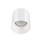 Concord - Downlight/spot/schijnwerper spotschw 2070213
