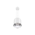 Concord - Downlight/spot/schijnwerper spotschw 2070216