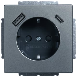 ABB Busch-Jaeger - Pure Stainless Steel Wandcontactdoos (WCD schakelmat.) Wcd 21 Eucb2Usbac-866