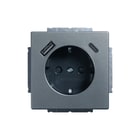 ABB Busch-Jaeger - Pure Stainless Steel Wandcontactdoos (WCD schakelmat.) Wcd 21 Eucb2Usbac-866