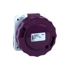Schneider Electric - PK CEE-contactdoos, aanbouw Wcd Cee Inb Rcht 16A 2P