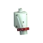 Schneider Electric - PK CEE-toestelcontactdoos Cee Wandcontstp 32A 5P 400V