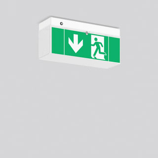 RZB - Minisign Noodverlichtingsarmatuur  672189.002