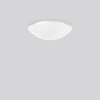 RZB - Flat Basic Plafond-/wandarmatuur 211399.002.19