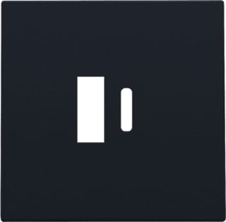 Niko - Intense Bed.element / centr.pl. schakelmat. Afwerkset Dub Usb Lader