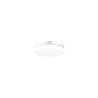 RZB - Flat Slim Plafond-/wandarmatuur plaf wandarm13,5w3k dal wi