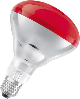 Ledvance - IR-lamp ir-lamp 4099854909825