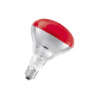 Ledvance - IR-lamp ir-lamp 4099854909825